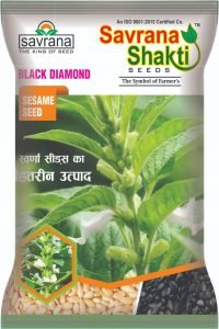 Black Di