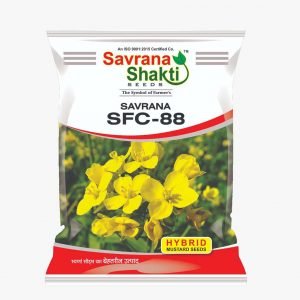 HYBRID MUSTARD SAVRANA SFC-88