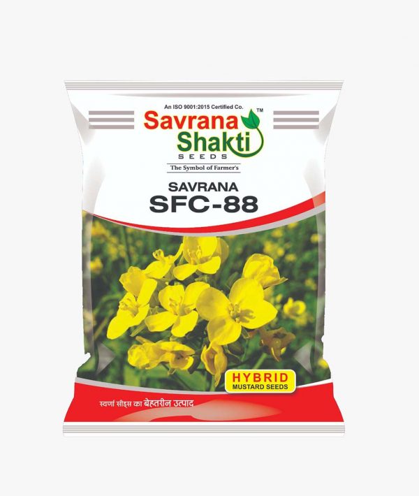 HYBRID MUSTARD SAVRANA SFC-88