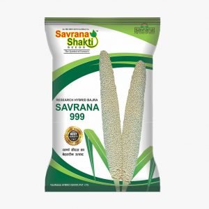 HYBRID BAJRA SAVRANA-999