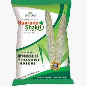 HYBRID BAJRA TEJASHWI 80SD85
