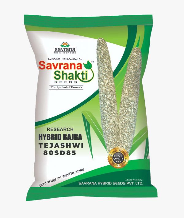 SAVRANA-SEED-HYBRID-BAJRA-TEJASHWI 80 SD 85