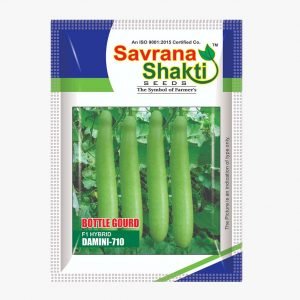 HYBRID BOTTLE GOURD DAMINI-710