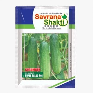 HYBRID CUCUMBER SUPER SALAD-801