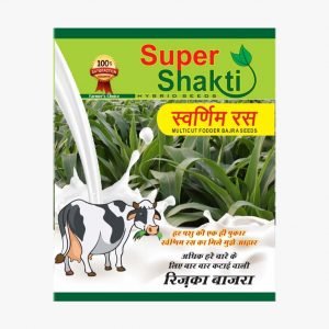 HYBRID FORAGE BAJRA SAVRANIM RASH