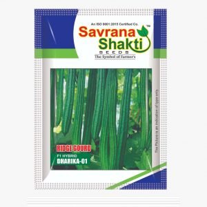HYBRID RIDGE GOURD DHARIKA-01