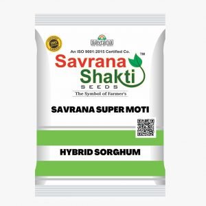 HYBRID SORGHUM SAVRANA SUPER MOTI