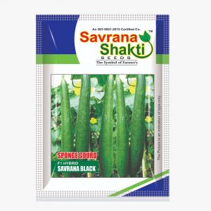 HYBRID SPONGE GOURD SAVRANA BLACK