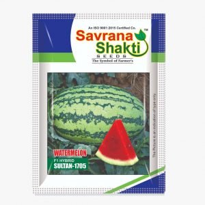 HYBRID WATERMELON SULTAN-1705 ( GREEN )