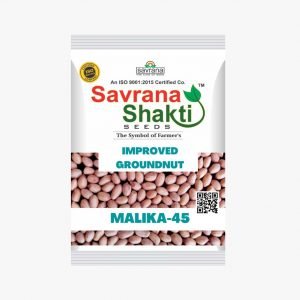 IMPROVED GROUNDNUT MALIKA-45