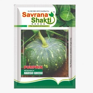 IMPROVED PUMPKIN HARISH (GREEN )