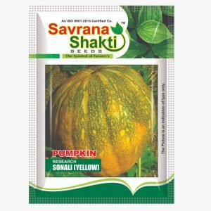 IMPROVED PUMPKIN SONALI (YELLO)