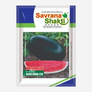 HYBRID WATERMELON BLACK SUGER-1710